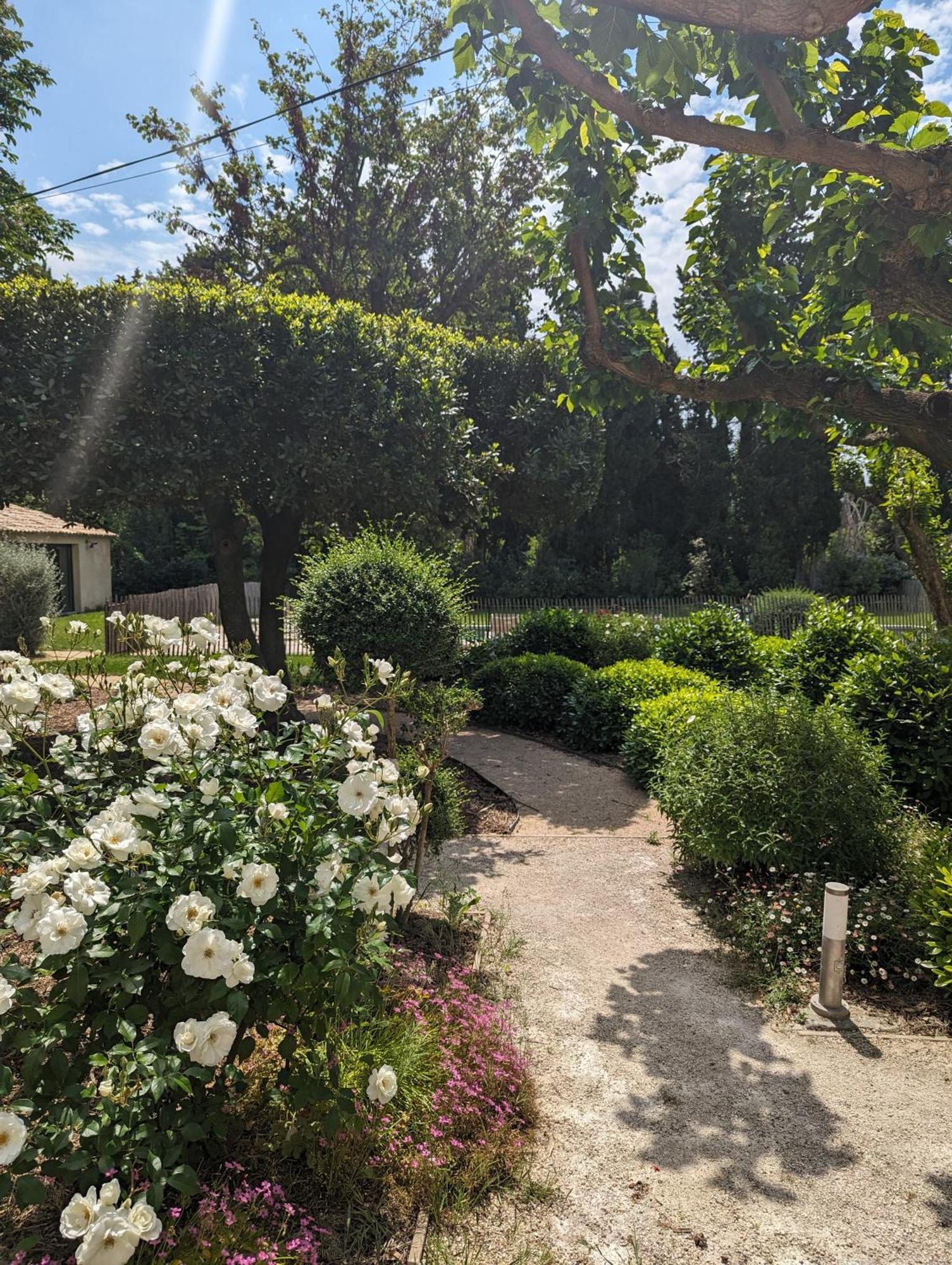 Mas De La Gramillere Hotel Barbentane ภายนอก รูปภาพ
